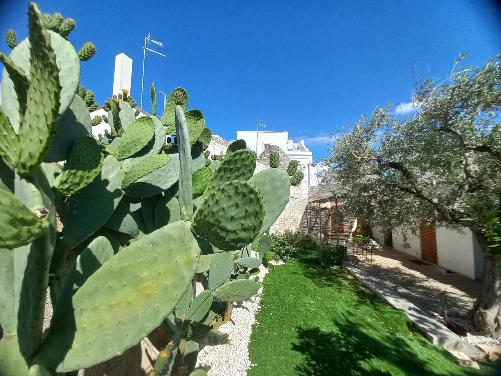 Trullo Vacanza Alberobello Pokój zdjęcie